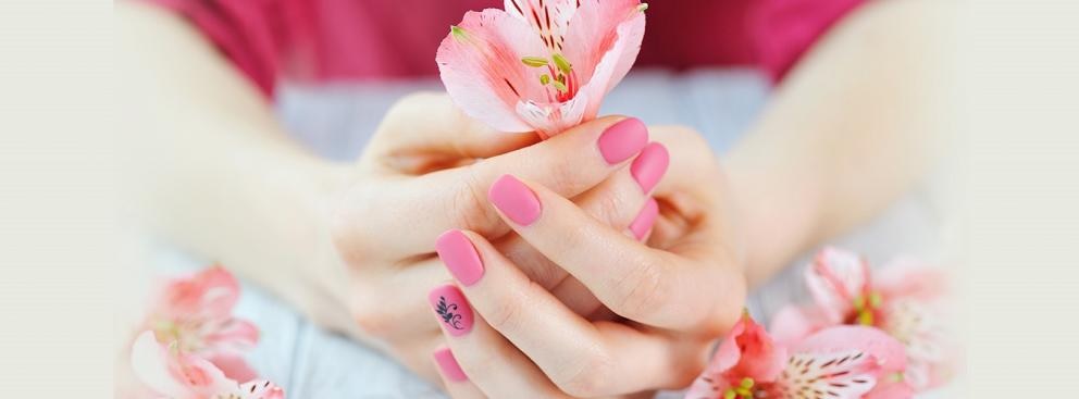 Nail Salons in Charlotte