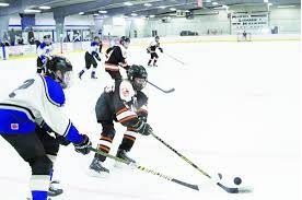 Youth hockey roundup