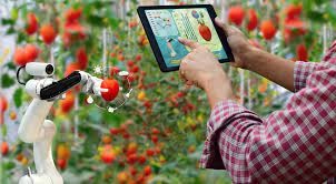 Future of Food Technology