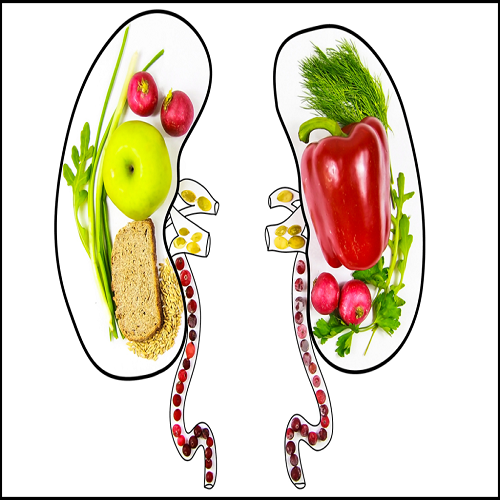 16 Vegetarian Super Foods for Kidney Health
